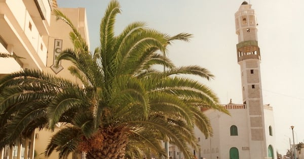 Gabès Medina, historic center known for its souks, crafts, and local atmosphere