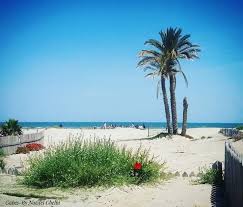 Gabès beach, coastal oasis with palms and Mediterranean charm