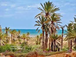 Zarat, coastal town near Gabès known for its beaches and authentic atmosphere