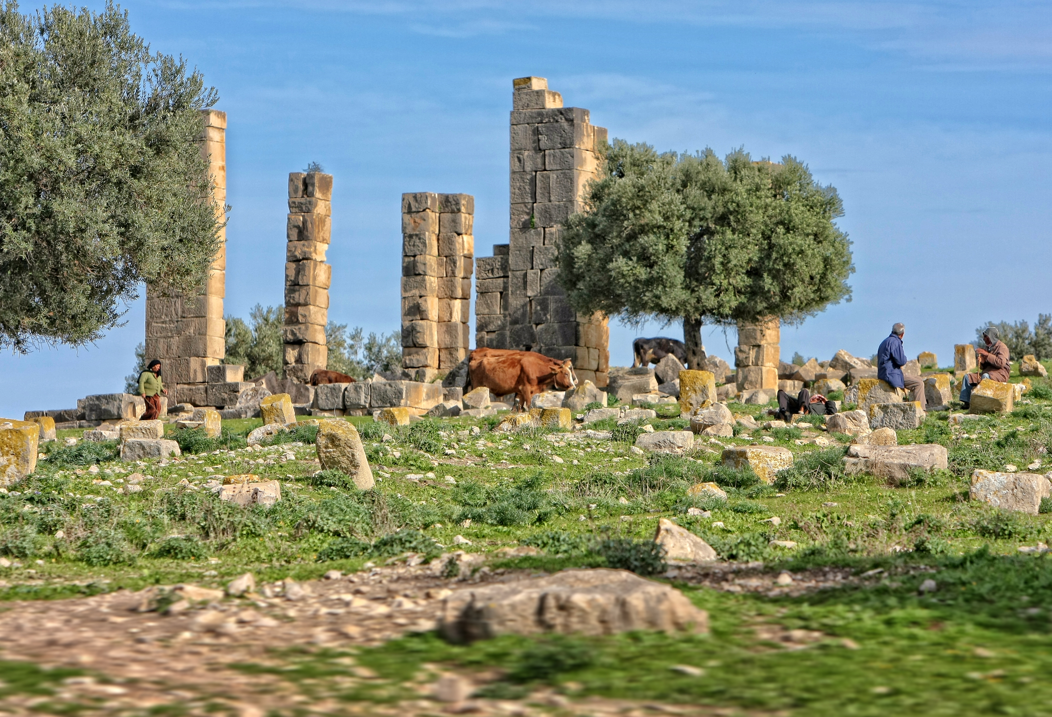 Ain Tounga, panorama complémentaire de la localité du nord-ouest tunisien avec ses collines et son environnement naturel