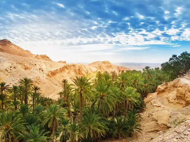 Chebika, mountain oasis in southwestern Tunisia, known for its palm groves, springs, and desert landscapes