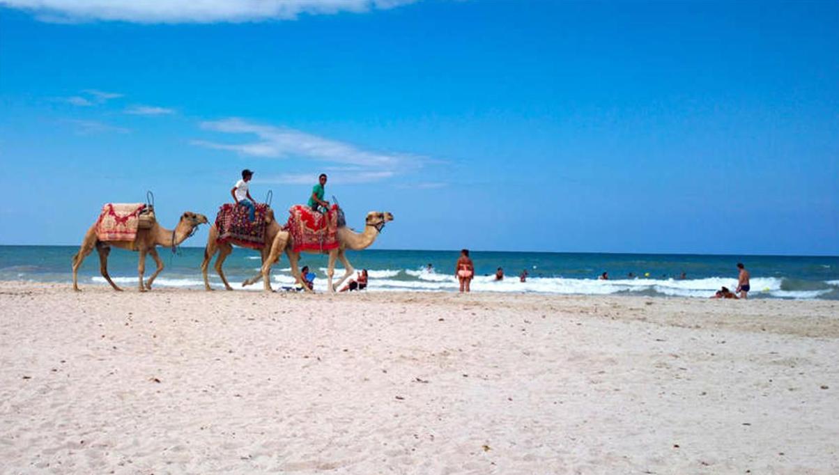 Djerba, Tunisia – private transfer and excursion to discover beaches, souks, white villages, and Jewish heritage