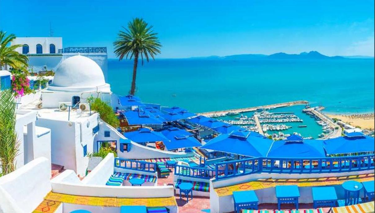 Tunis, Tunisia – private transfer and excursion through the medina, ancient Carthage, and the alleys of Sidi Bou Saïd