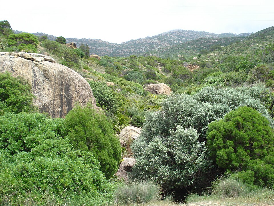 Djebel Korbous, mountain of Cap Bon known for natural thermal springs and Mediterranean landscapes