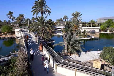 Djerba Explore, cultural and tourist park on Djerba Island, featuring museum, village, and crocodile farm