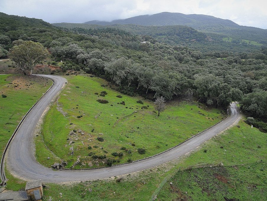 Kroumirie Forest, wooded massif in northwest Tunisia known for its lush landscapes and biodiversity