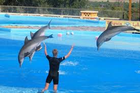 Friguia Park, zoo and leisure park near Enfidha, known for African wildlife and cultural shows
