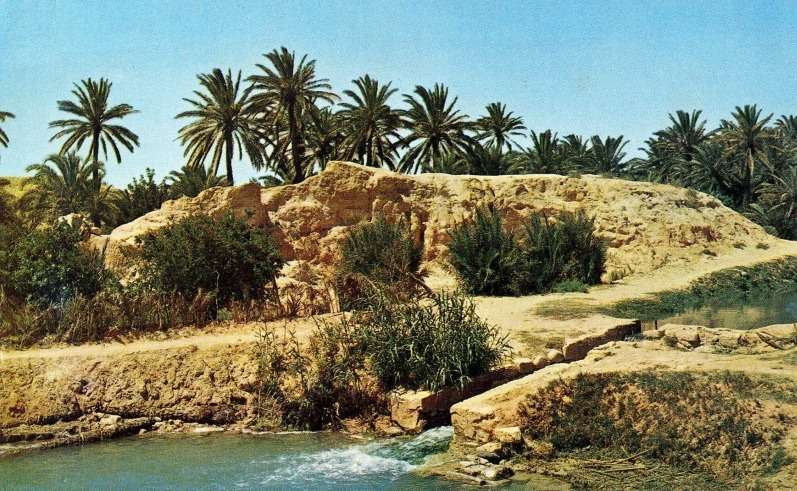 Gabès – coastal oasis and spice souk