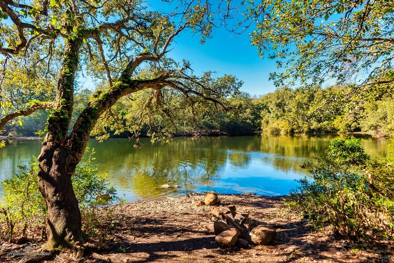 Lake Beni M’Tir, water reservoir surrounded by Kroumirie forests, natural site in northwest Tunisia known for its greenery