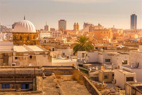 Mellouleche countryside, agricultural landscapes of Tunisia’s Sahel, known for olive groves and rural authenticity