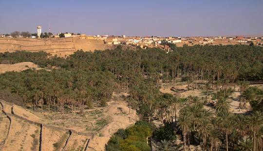 Nefta, oasis of the Jerid known for its natural basin, palm groves, and Sufi spiritual heritage
