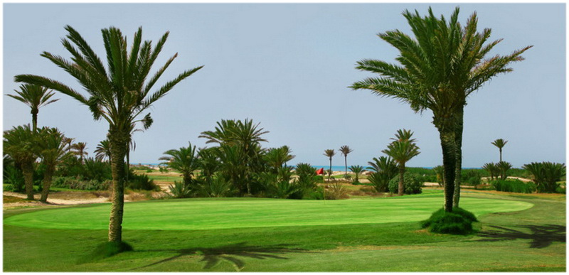 Palm Links Golf Monastir, 18-Loch-Küstenplatz mit Palmen – geeignet für Anfänger und Profis