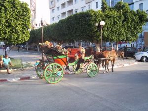 Nabeul Promenade, lively seafront of Cap Bon, known for its beaches, markets and local crafts