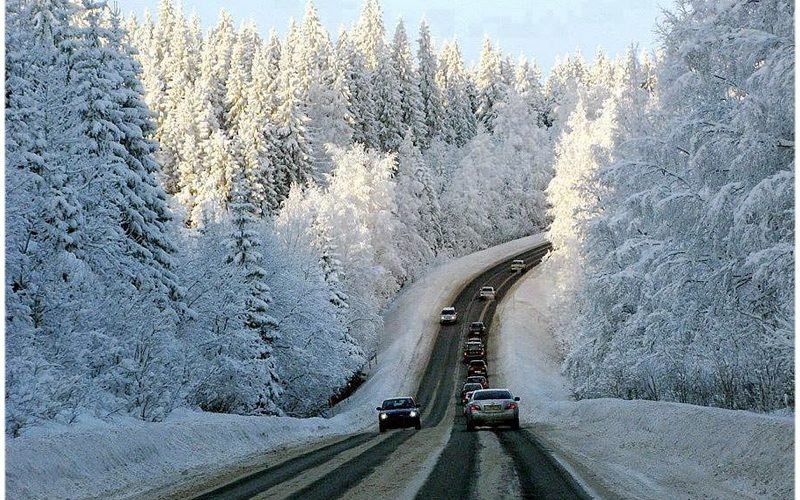 Panoramic roads of Aïn Draham, winding paths through Kroumirie forest, known for lush landscapes